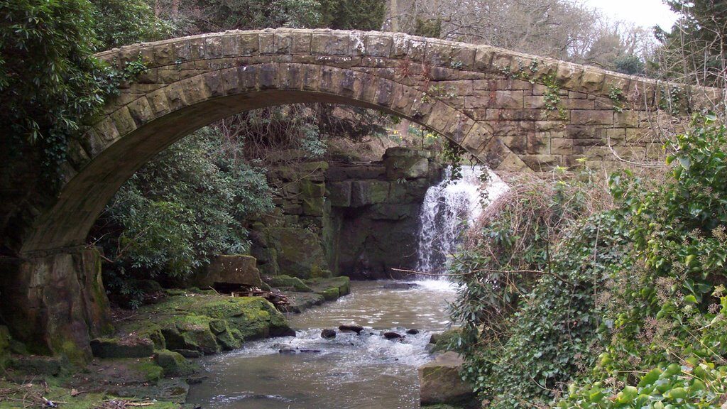 Jesmond Dene